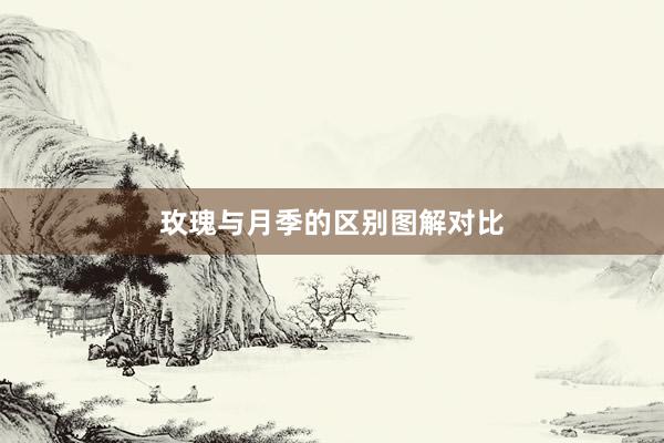 玫瑰与月季的区别图解对比