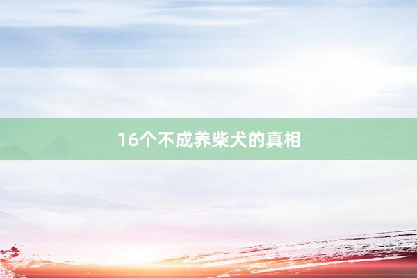 16个不成养柴犬的真相