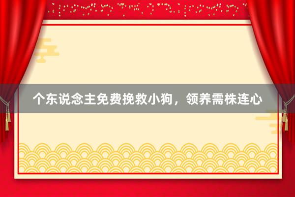 个东说念主免费挽救小狗，领养需株连心